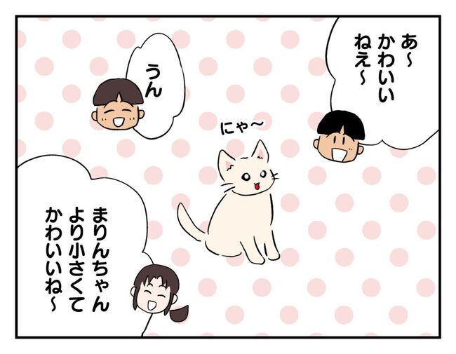 飼えなくなった猫を押し付けるママ友