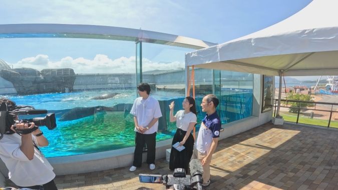 海響館 アシカ ひれあしビーチ