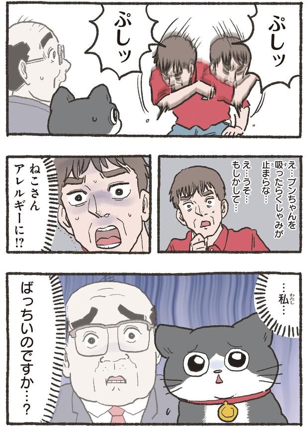 ねこさんアレルギーに！？ （C）やじま／KADOKAWA
