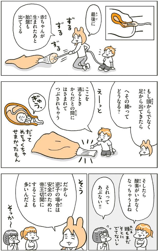 へその緒ってどうなる？ （C）フクチ マミ、村瀬 幸浩、北山 ひと美／KADOKAWA