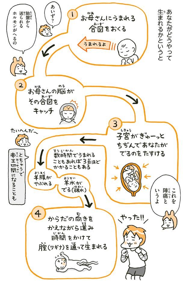 あなたがどうやって生まれるかというと （C）フクチ マミ、村瀬 幸浩、北山 ひと美／KADOKAWA