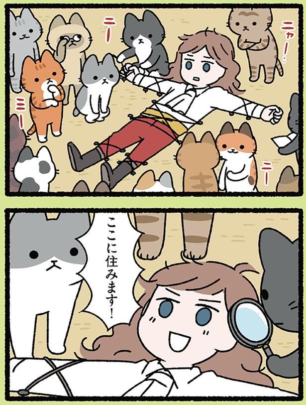 パラダイス！？ （C）ぱんだにあ／KADOKAWA