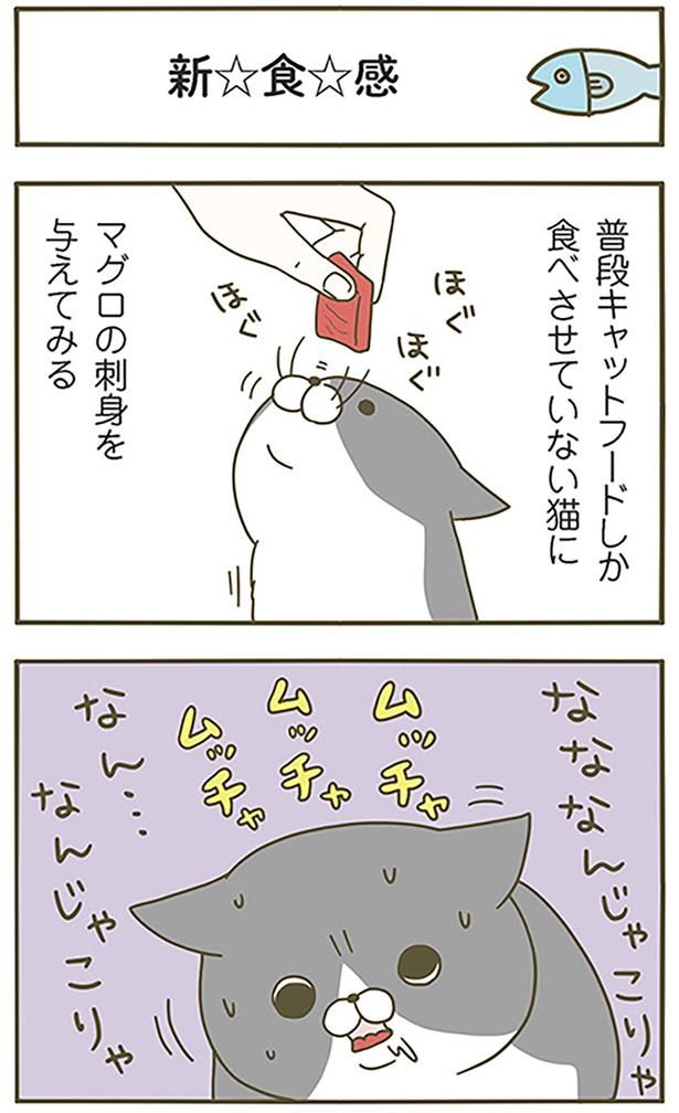 新☆食☆感 （C）卵山玉子／KADOKAWA