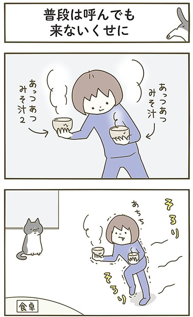 普段は呼んでも来ないくせに （C）卵山玉子／KADOKAWA