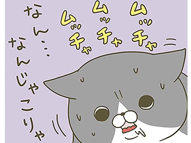 困惑？ （C）卵山玉子／KADOKAWA