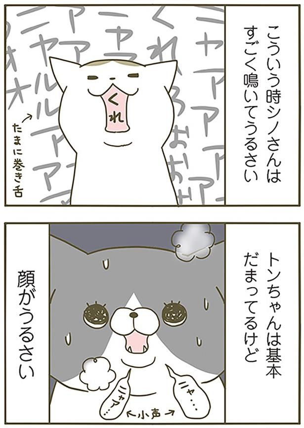 顔がうるさい （C）卵山玉子／KADOKAWA