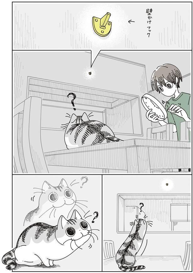 壁かけフックが気になる… （C）キュルZ／KADOKAWA