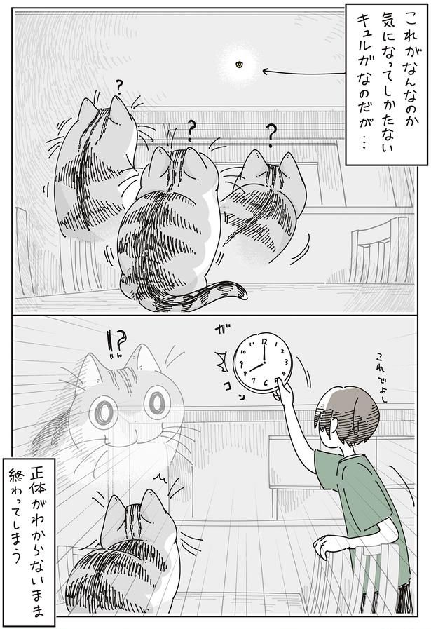正体がわからないまま （C）キュルZ／KADOKAWA