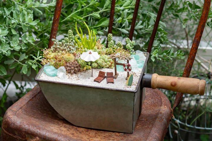 夏の暑さに負けない！【サボテン・多肉植物】で涼やかに楽しむ寄せ植え2アイデアと育て方のコツ