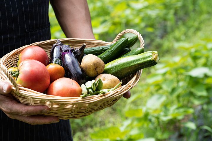 夏野菜や緑黄色野菜と組み合わせることで栄養価がさらに高まります