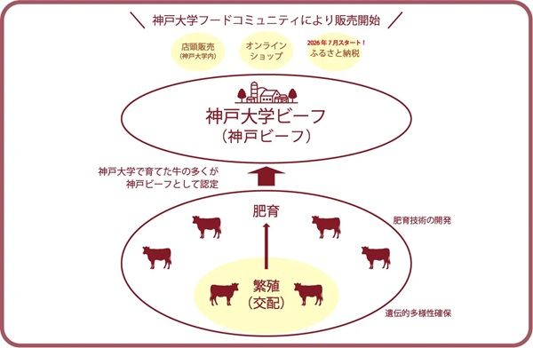 【兵庫県加西市】神戸大学が育てる「神戸大学ビーフ」がふるさと納税返礼品に！生産背景にも注目