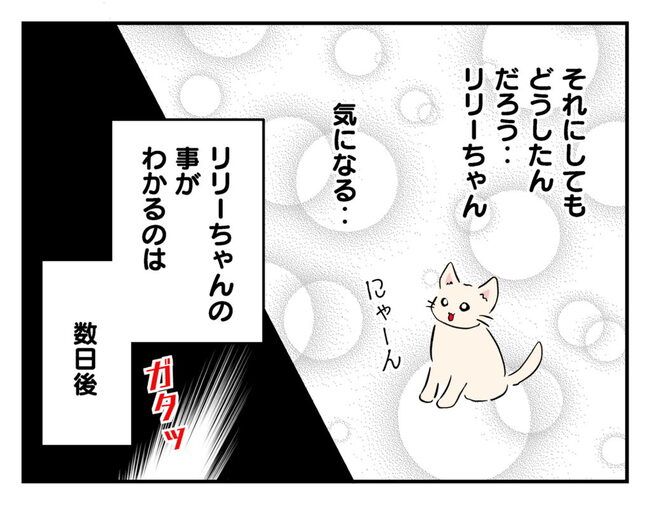 飼えなくなった猫を押し付けるママ友