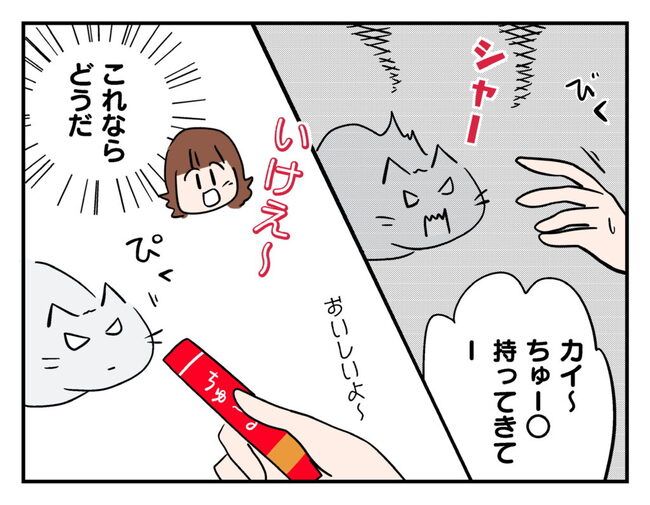 飼えなくなった猫を押し付けるママ友