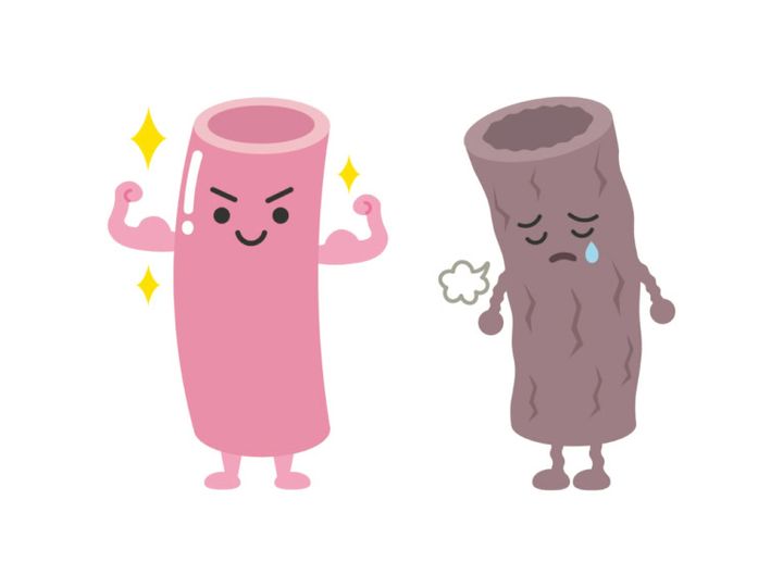 血管も老化する！？