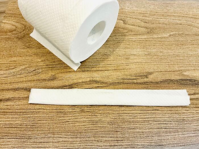 来客前に絶対やりたい！トイレが劇的に可愛くなる「リボン折り」の作り方【エリエール公式に教わりました♪】