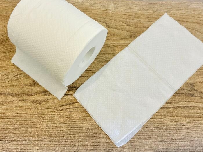 来客前に絶対やりたい！トイレが劇的に可愛くなる「リボン折り」の作り方【エリエール公式に教わりました♪】