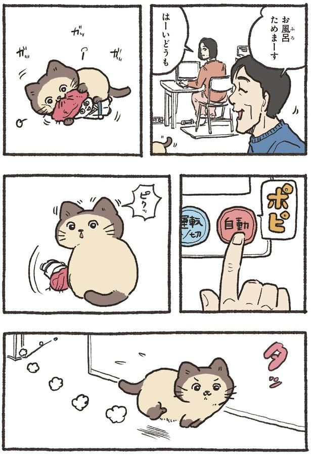 お風呂ためまーす （C）やじま／KADOKAWA