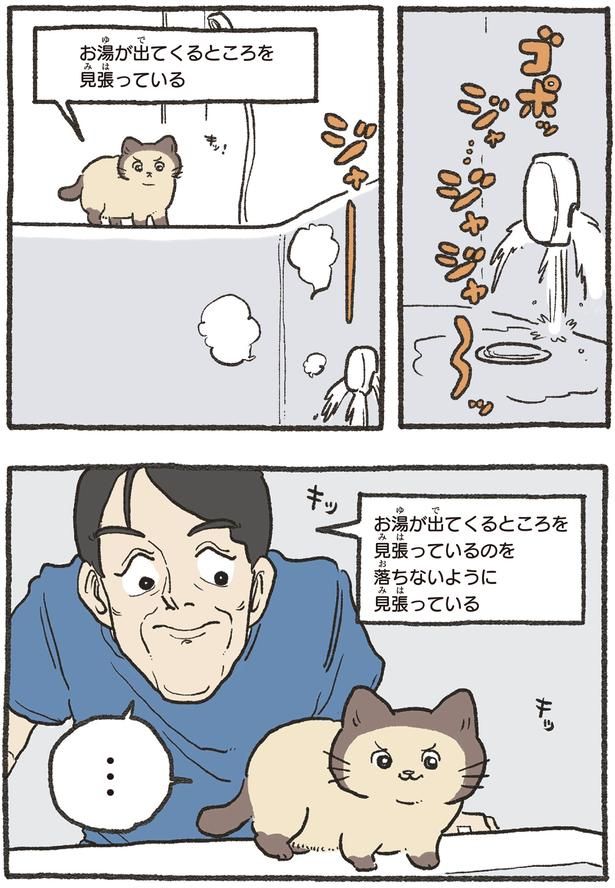 見張っているのを見張っている （C）やじま／KADOKAWA