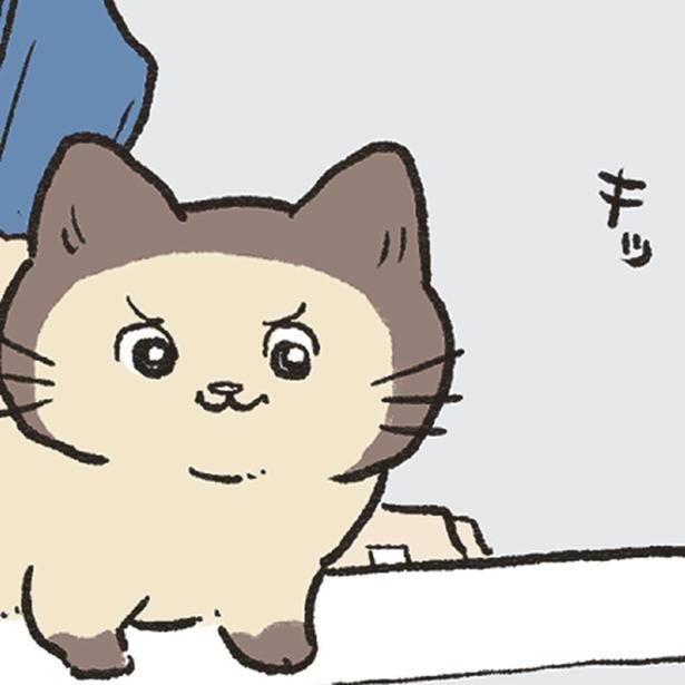 キッ （C）やじま／KADOKAWA