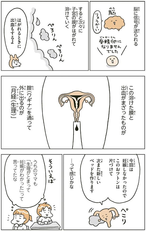 はがれるときに出血もするよ （C）フクチ マミ、村瀬 幸浩、北山 ひと美／KADOKAWA