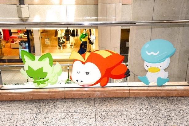 ホゲータ、クワッス、ニャオハの眠っている姿 (C)Pokémon/Nintendo/Creatures/GAME FREAK Pokémon Sleep is developed by SELECT BUTTON inc. ポケットモンスター・ポケモン・Pokémonは任天堂・クリーチャーズ・ゲームフリークの商標です。 撮影：ソムタム田井