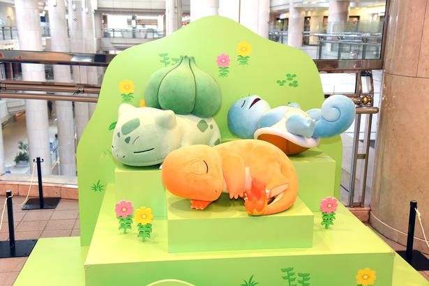 気持ちよさそうに眠るヒトカゲ、ゼニガメ、フシギダネのフォトスポット (C)Pokémon/Nintendo/Creatures/GAME FREAK Pokémon Sleep is developed by SELECT BUTTON inc. ポケットモンスター・ポケモン・Pokémonは任天堂・クリーチャーズ・ゲームフリークの商標です。 撮影：ソムタム田井
