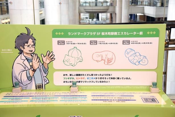 スタンプ台は会場内の全6箇所に設置 (C)Pokémon/Nintendo/Creatures/GAME FREAK Pokémon Sleep is developed by SELECT BUTTON inc. ポケットモンスター・ポケモン・Pokémonは任天堂・クリーチャーズ・ゲームフリークの商標です。 撮影：ソムタム田井