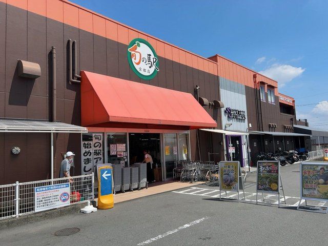  (315567)