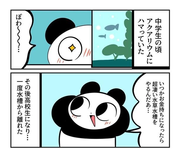  第6回より