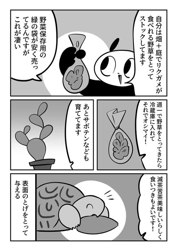 第8回より