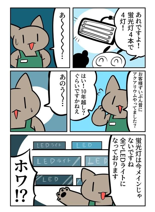  第6回より