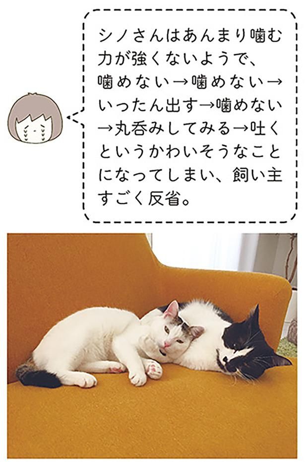 すごく反省 （C）卵山玉子／KADOKAWA