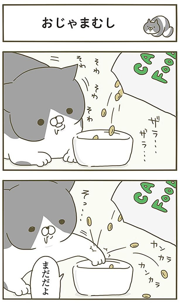 おじゃまむし （C）卵山玉子／KADOKAWA