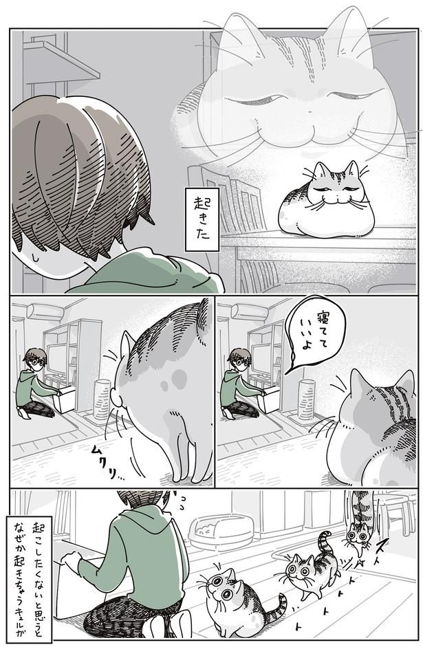 起きた… （C）キュルZ／KADOKAWA