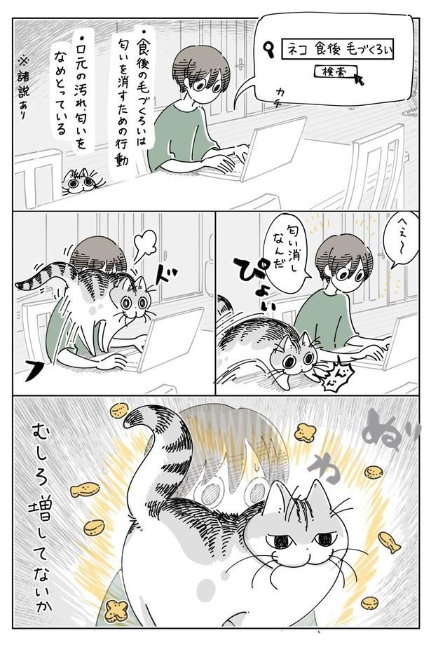 02 画像提供：キュルZ@kyuryuZ