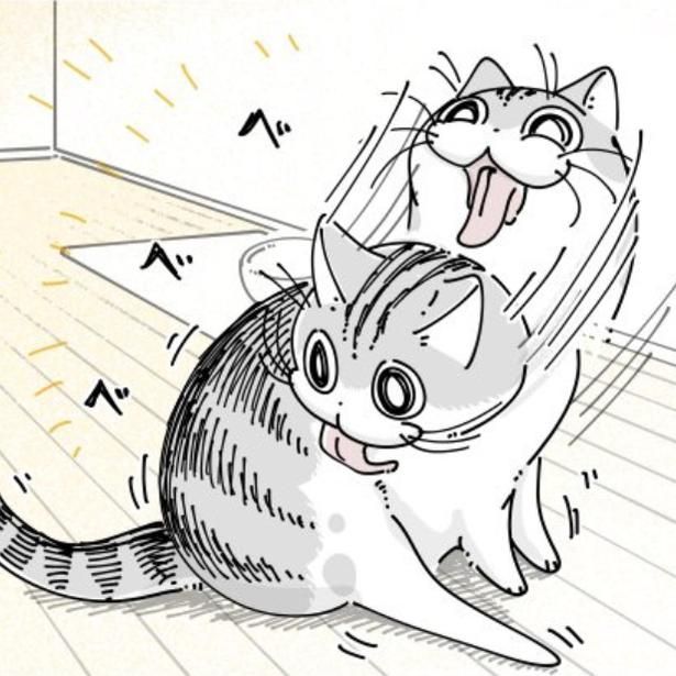 食後に毛づくろいする猫 画像提供：キュルZ@kyuryuZ