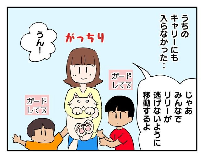 飼えなくなった猫を押し付けるママ友