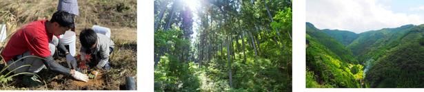 一般社団法人more treesは国内外27カ所で森の保全活動を行う森林保全団体。購入金額の一部が日本の森林づくりに役立てられる