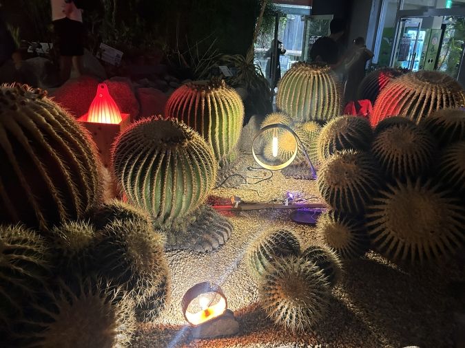 夜の動植物園・温室ライトアップ