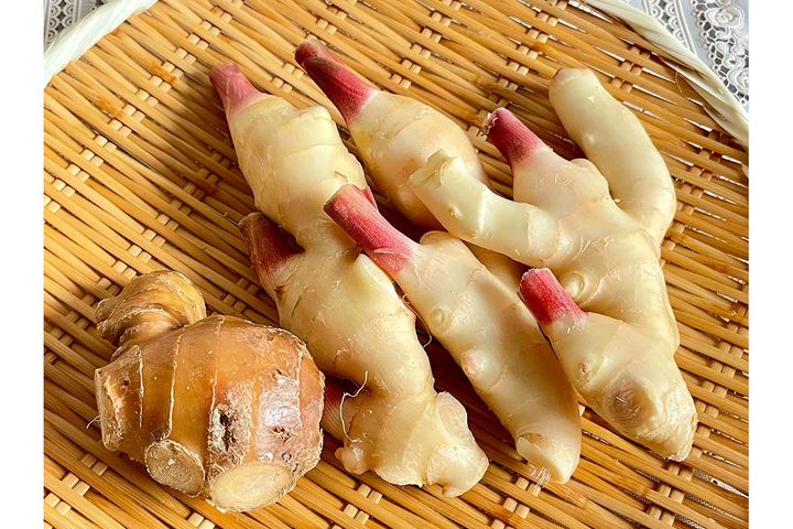 新ショウガ（右）、ひねショウガ（左）。見た目と食味が異なります。
