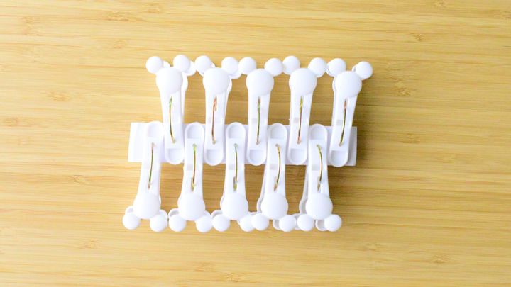 【100均】洗濯ばさみ6選！大きいものや学校用に便利なひも付きも紹介