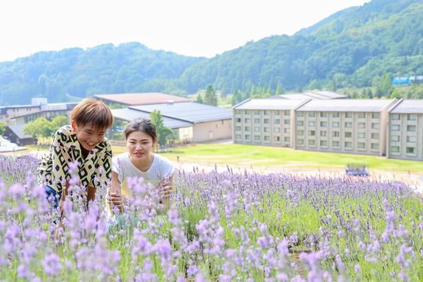 摘み取りは7月中旬から8月中旬の期間限定で1人500円。受付はホテル1階のアウトドアカウンターで