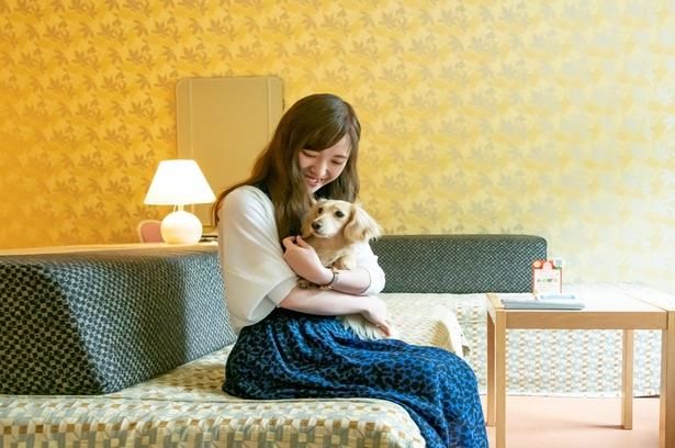 愛犬と泊まれる客室のほか、無料のドッグランやドッグパークも。ペット連れの家族にも心強い