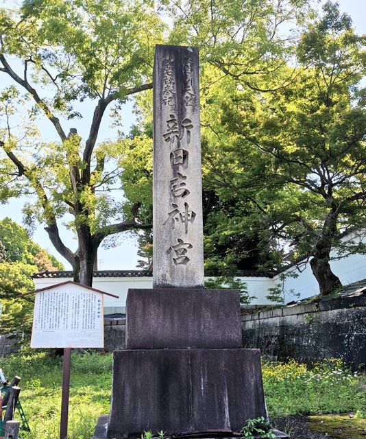 藤花 (315390)