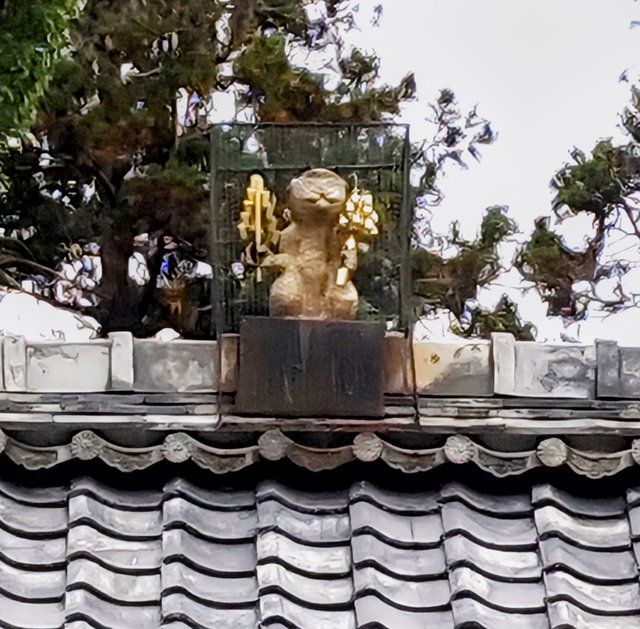 赤山禅院のお猿さん