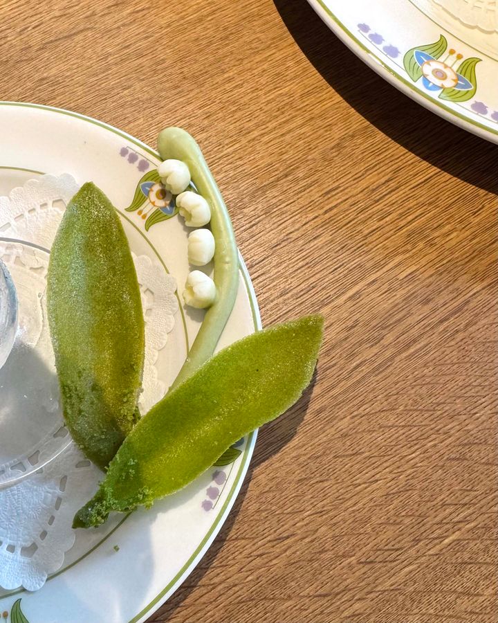 長野・軽井沢のお洒落カフェ2026◎ 森の中でティータイムが楽しめるおすすめの森カフェ【ささやかですてきなもの 大谷有紀 vol.298】