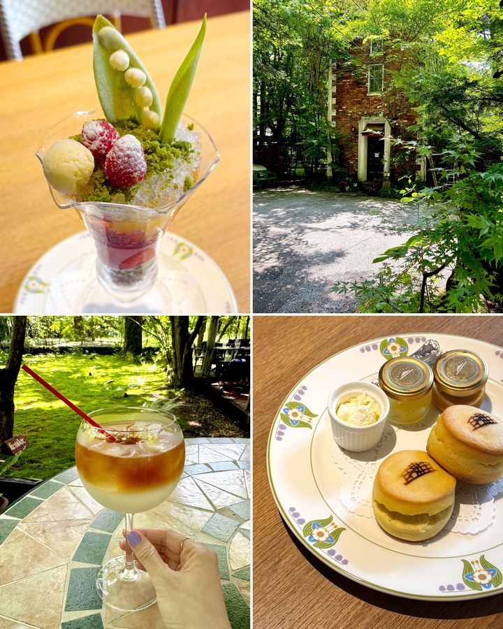 長野・軽井沢のお洒落カフェ2026◎ 森の中でティータイムが楽しめるおすすめの森カフェ【ささやかですてきなもの 大谷有紀 vol.298】