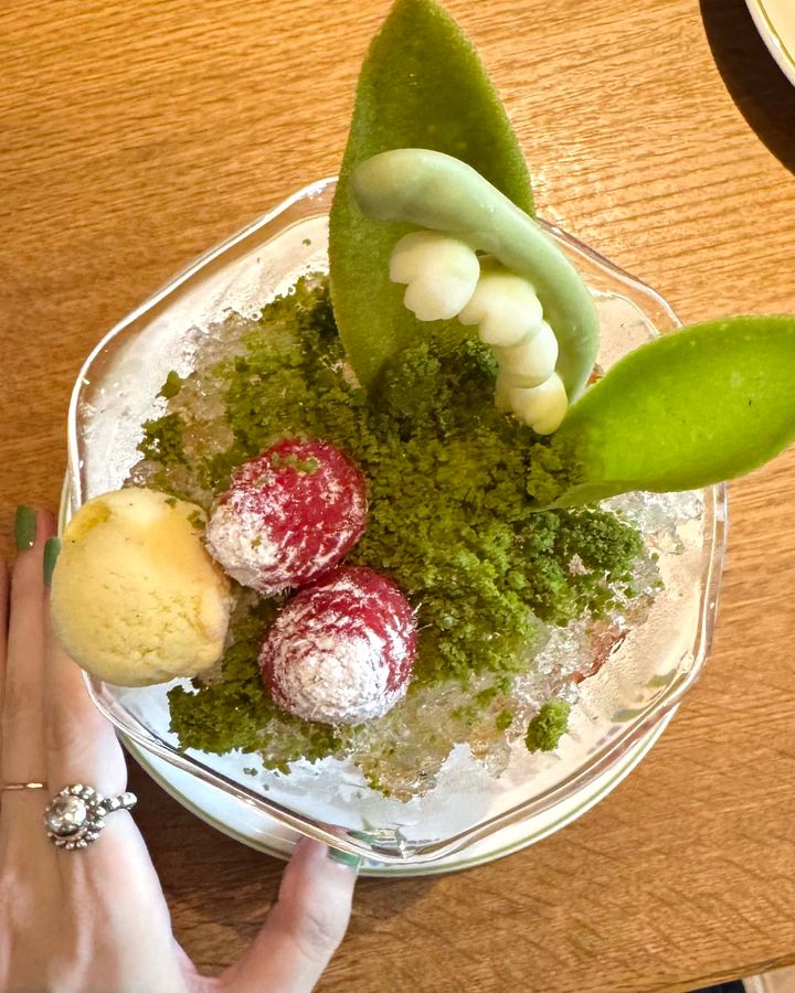 長野・軽井沢のお洒落カフェ2026◎ 森の中でティータイムが楽しめるおすすめの森カフェ【ささやかですてきなもの 大谷有紀 vol.298】