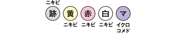 ニキビ跡 黄ニキビ 赤ニキビ 白ニキビ マイクロコメド