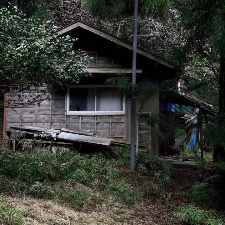 木々に囲まれた山中に建つ、老朽化した木造住宅の外観。